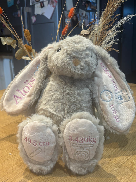 🎁 Peluche personnalisée – cadeau naissance unique avec prénom